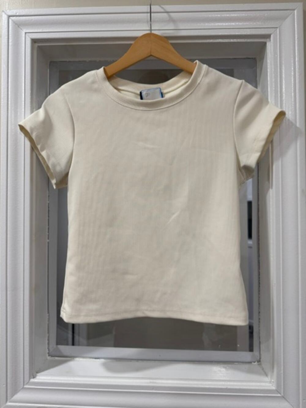 White Fox Crop Top